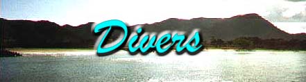 Divers.jpg (16001 octets)